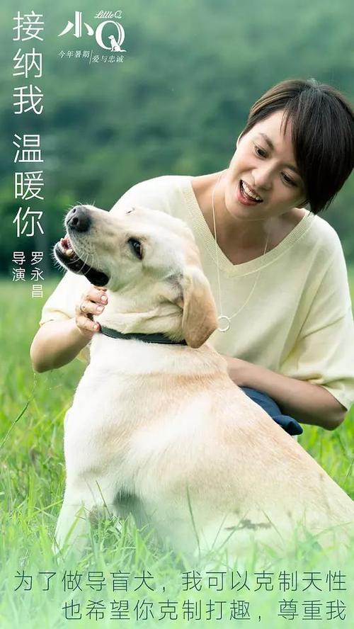 阿拉巴马州怎么购买